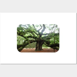 The Angel Oak Tree in South Carolina Posters and Art